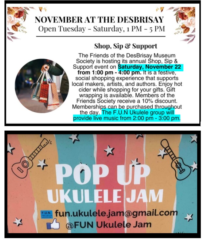 FUN UKULELE POP UP @ DesBrisay Museum